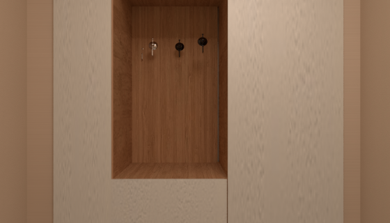 Bayraklı İzmir Vestiyer Tasarımı